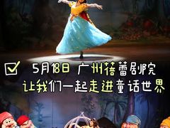 -广州蓓蕾剧院