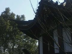 -上海佘山国家森林公园西佘山园