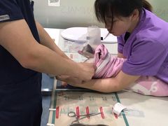 -伟伟宠物医院·CT影像中心·瑞派犬猫综合性门诊(汉口总院)
