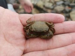 -白沙门生态公园