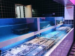 -花西亭·海鲜自助餐厅(瑞城名人酒店)