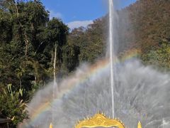 -西双版纳原始森林公园