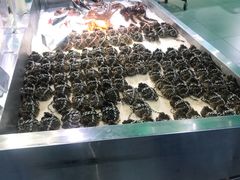 -盒马鲜生(大成店)