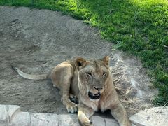 -北京野生动物园