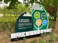 -大望京公园