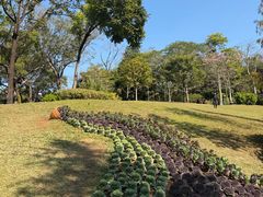 -云溪植物园