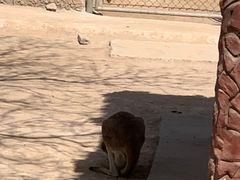 -石家庄市动物园