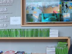 -金色雨林注意力记忆力感统情商思维(立丰国际店)
