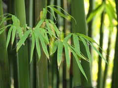 -新竹里馆·花园餐厅(兴苑路店)