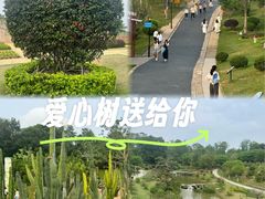 -东莞植物园