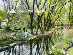 -上海共青森林公园