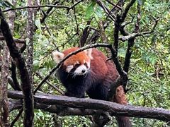 -普洱太阳河森林公园