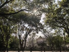 -普陀山雷迪森庄园