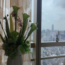 -久匠·纹眉半永久野生眉