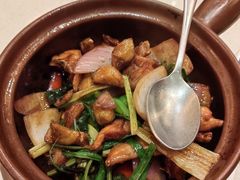 鸡煲-潮庭港式茶餐厅·熊仔奶茶(同济广场店)