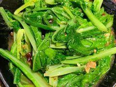 豆豉鲮鱼油麦菜-潮十三潮汕砂锅粥(高新四路大都荟店)