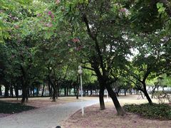 -福州肆爪动物医院