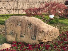 -嘉定紫藤园