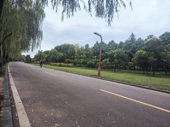 -洨河生态公园