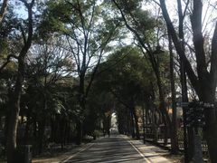 -东湖磨山景区