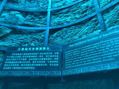 -西峡恐龙遗迹园