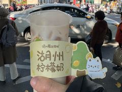 -猫的魔法密林(衣裳街店)