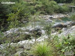 -祁门牯牛降观音堂风景区