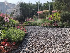 -莲花山公园