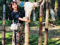 -陶祖圣境风景区