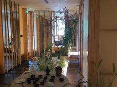 -梅间堂茶馆(绿地缤纷城店)