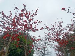-番禺儿童公园