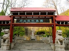 -原山国家森林公园