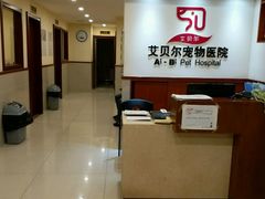 -艾贝尔宠物医院·24H转诊中心·肿瘤猫专科(江宁双龙店)