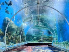 -顺德南宏海立方海洋公园