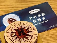 -哈根达斯(大洋百货店)