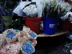 -循礼门鲜花花市(武汉循礼门店)