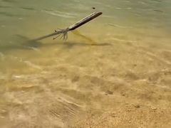 -广州白江湖森林公园