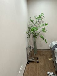 -上海首尔丽格医疗美容医院