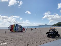 -海云台海滩