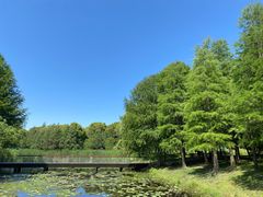 -同里国家湿地公园