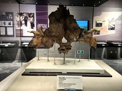 -北京周口店北京人遗址博物馆