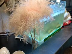 -晓鲜熊猫烤鱼烤吧(西三旗百汇北门店)