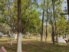 -东莞植物园