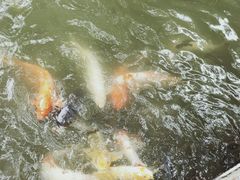 -珠海圆明新园