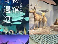-中国湿地博物馆