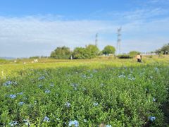 -广州市流溪河国家森林公园