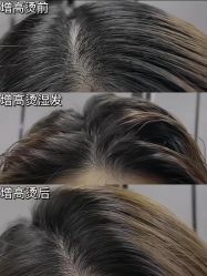 -禾里設計