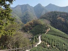 -午潮山国家森林公园