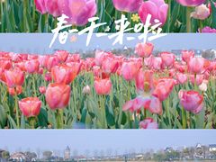 -花博汇(知音花月夜)