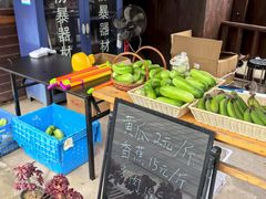 -呀路古热带植物园